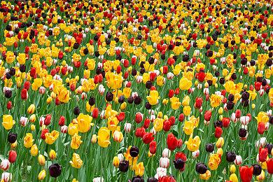 《怪物猎人：荒野》第三弹更新！猎人加强＆全新支援猎人