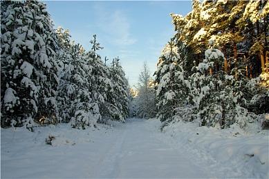 《东方：平野孤鸿》正式售价9.9元 今日正式发售